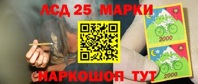 шишки Абинск